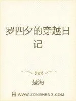 《罗四夕的穿越日记》封面