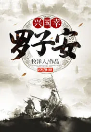 《兴国幸:罗子安》封面