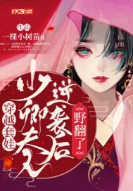 《穿越套娃：少卿夫人逆袭后野翻了》封面