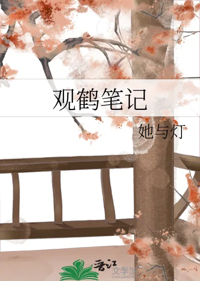 《观鹤笔记》封面