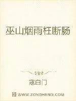《巫山烟雨枉断肠》封面