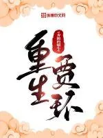 《重生贾环》封面