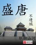 《盛唐不遗憾》封面