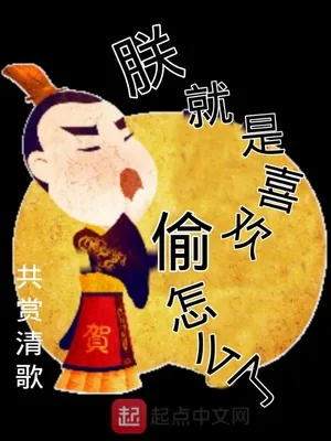 《朕就是喜欢偷怎么了》封面