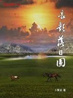 《长歌落日圆》封面