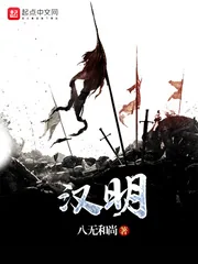 《汉明》封面