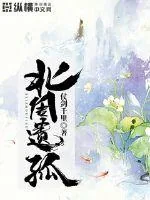 《北周遗孤》封面