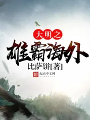 《大明之雄霸海外》封面