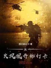 《从火凤凰开始打卡》封面