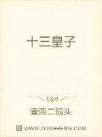 《十三皇子》封面