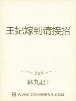 《王妃嫁到请接招》封面