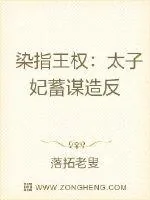 《染指王权:太子妃蓄谋造反》小说封面