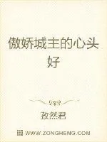 《傲娇城主的心头好》封面