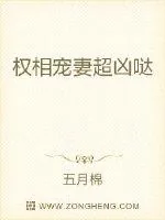 《权相宠妻超凶哒》封面