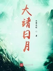 《大靖日月》封面