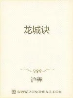 《龙城诀》小说封面