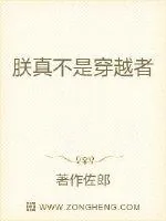 《朕真不是穿越者》封面
