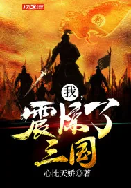 《我，震惊了三国！》封面