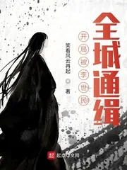 《开局被李世民，全城通缉》封面
