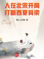 《人在北宋,开局打断西夏脊梁!》小说封面