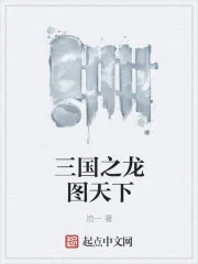 《三国之龙图天下》封面