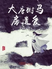《大唐驸马房遗爱》封面