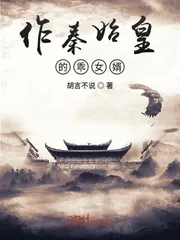 《作秦始皇的乖女婿》封面