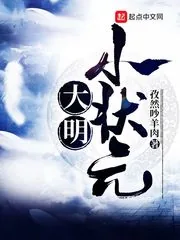 《大明小状元》封面