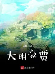 《大明豪贾》封面
