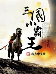 《三国小霸王》封面
