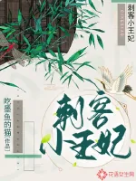 《刺客小王妃》封面