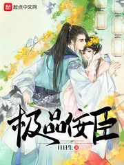 《极品佞臣》封面