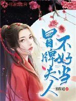 《冒牌夫人不好当》封面