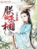 《朕的丞相有喜了》封面