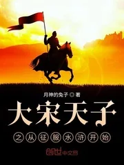 《大宋天子之从征服水浒开始》封面