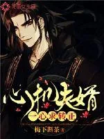 《心机夫婿一心求转正》封面