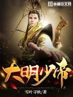 《大明少帝》封面
