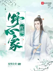 《红楼野心家》封面