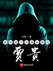 《我在地下交通站里当贾贵》封面