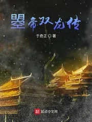 《曌帝双龙传》封面