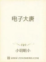 《电子大唐》小说封面