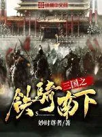 《三国之铁骑南下》小说封面