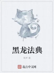 《黑龙法典》封面