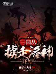 《三国从掳走洛神开始》小说封面