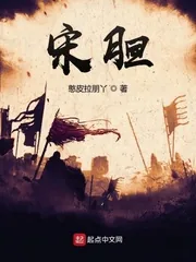 《宋胆》封面