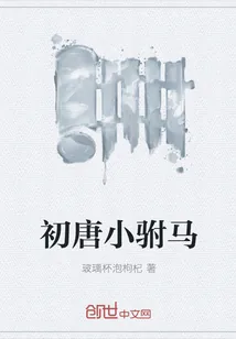 《初唐小驸马》小说封面