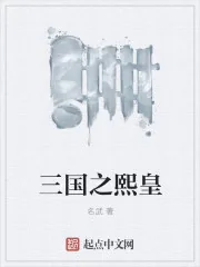 《三国之熙皇》封面