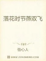 《落花时节燕双飞》封面