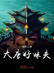 《大唐好妹夫》封面