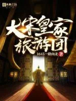 《大宋皇家旅游团》封面